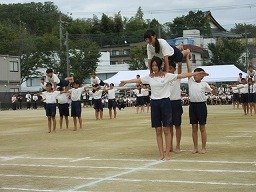 IMG_3712.jpg