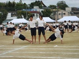 IMG_3713.jpg
