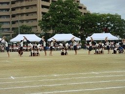IMG_3715.jpg