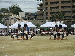 IMG_3717.jpg