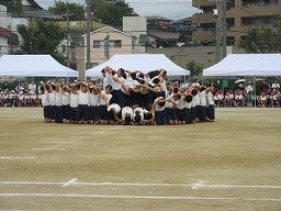 IMG_3718.jpg