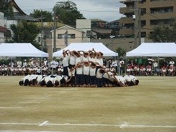 IMG_3720.jpg
