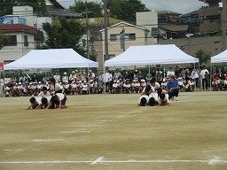 IMG_3723.jpg