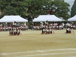 IMG_3724.jpg