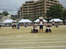 IMG_3725.jpg