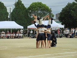 IMG_3727.jpg