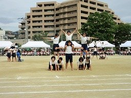 IMG_3728.jpg