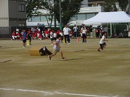 IMG_3732.jpg