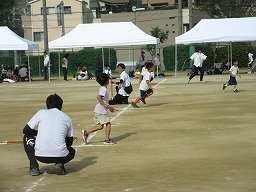 IMG_3733.jpg