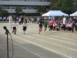 IMG_3740.jpg