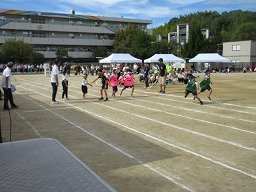 IMG_3741.jpg