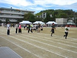 IMG_3742.jpg