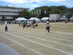 IMG_3744.jpg