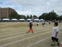 IMG_3746.jpg