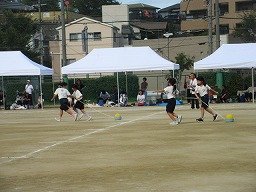 IMG_3754.jpg