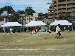 IMG_3755.jpg