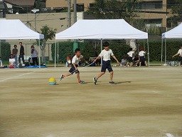 IMG_3759.jpg