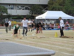 IMG_3765.jpg