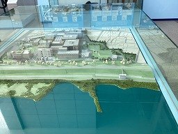 IMG_8176.jpg