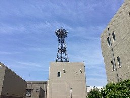 IMG_8178.jpg