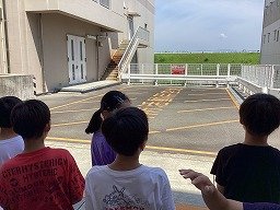 IMG_8183.jpg