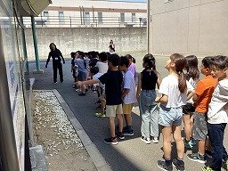 IMG_8193.jpg