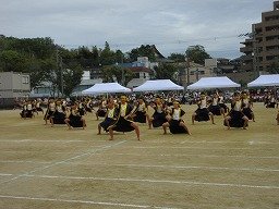 IMG_3556.jpg