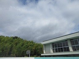 IMG_2791.jpg