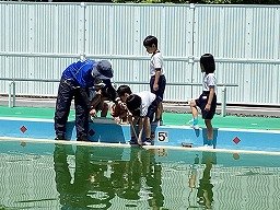 画像 -20250528-014303-cc1af86e.jpg