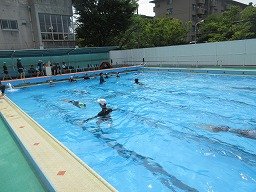 IMG_1783.jpg