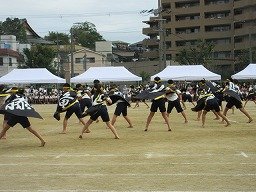 IMG_3561.jpg