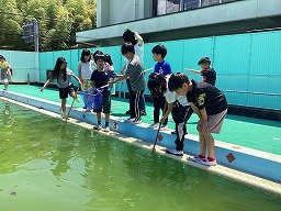 画像 -20250528-014117-063afe77.jpg