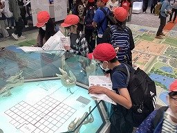 IMG_0152.jpg