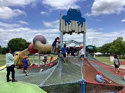 IMG_0208.jpg