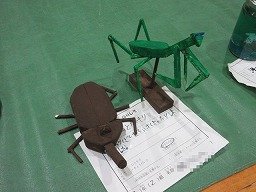 IMG_2487.jpg