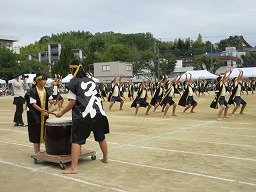 IMG_3545.jpg