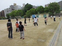 IMG_0971.jpg