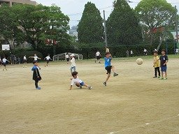 IMG_0977.jpg