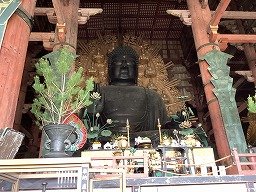 IMG_0230.jpg