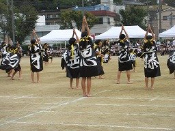 IMG_3555.jpg