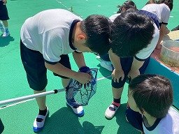 画像 -20250528-014358-f933c974.jpg