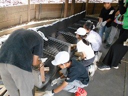 DSCN0204.jpg