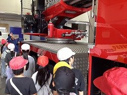 IMG_0287.jpg