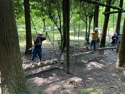 IMG_1433.jpg