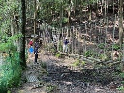 IMG_1436.jpg