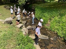 IMG_1438.jpg