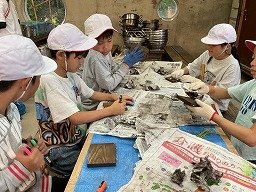 IMG_1462.jpg