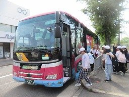 IMG_7649.jpg