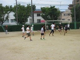 IMG_7774.jpg