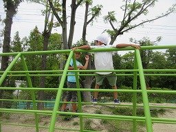 IMG_7784.jpg